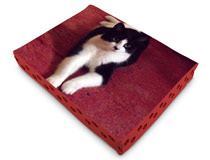 Matelas pour chat