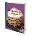 journal recettes