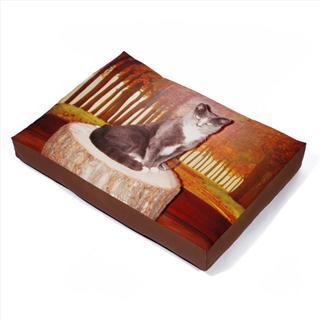 coussin pour chat
