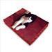 coussin pour chat rouge