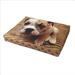 coussin pour chien