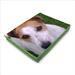 matelas pour chien terrier