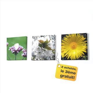 mini photo toile fleur