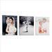 mini photo toile mariage