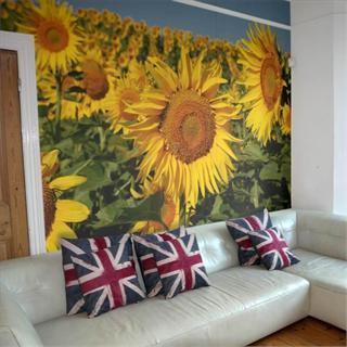 papier-peint-tournesol
