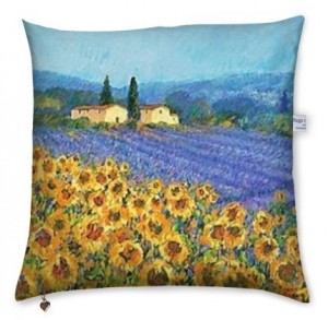 coussin image 