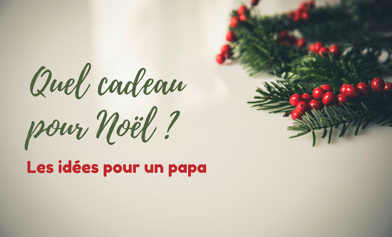 Quel cadeau pour Noel - Cadeau de Noel pour papa